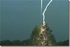 lightning-strike-in-tree