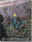 2012-01-30_1135